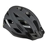 Fischer Erwachsene Urban Fahrradhelm, Levin grau, L/XL 58-61