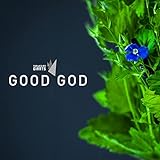 Good God (Skl Remix)