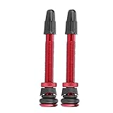Schwalbe Tubeless Ventil Fahrradventil, Schlauchloser Ventilschaft Presta Reifenventil-Kernschaft, 1 Paar 58 Mm Abnehmbares Fahrradrohr-Schlauchverlängerungszyklusventil Kern Kupfer Presta U