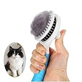 Katzenbürste, Katzenburste Massage Selbstreinigend Zupfbürste Entfernt Unterwolle Hundebürste Hundebürste Katzenbürste Kurz bis Langhaar Geeignet Sanfte Katzenbürste Zupfbürste- (blau)