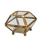 Garneck Glas Schmuckschatulle mit Deckel Schmuck Vitrine Klarglas Organizer Box Bronze Andenken Box für Frauen M