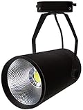 deckenlampe strahler Moderne einzelne Deckenstrahler flexibel drehbarer Lichtkopf |Drehbar LED Deckenleuchte for Küche Wohnzimmerbeleuchtung (Color : Black, Size : 20W-Warm Light)