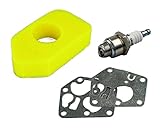 gardexx Vergaser Membrane +Luftfilter +Zündkerze für Briggs&Stratton Q