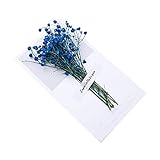 KONGZIR Vatertags-Gruß-Karte Segen Kleine Karte Personality Getrocknete Blumen Vatertagsgeschenke for Vati Geständnis Etikett Favor Sticker (Color : A)