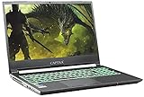 Captiva Advanced Gaming I61-031 Notebook | Intel Core i5 10300H | NVIDIA GTX 1650 Ti 4GB | 16GB DDR4 RAM | SSD 1TB M.2 | 15,6' FHD | Windows 10 Home | Laptop | WLAN | Silb