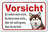 AdriLeo Schild - Vorsicht Husky - Du siehst Mich Nicht - (30x40cm) / Achtung Hund Wachhund Siberian DarkRed Copper Kup