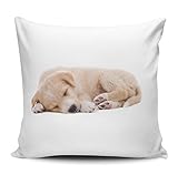 Kissenhülle/Kissenbezug 40x40cm - Motiv: Golden Retriever/Labrador Welpe schlafend | 016