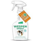 Silberkraft Wespenspray 2 x 500 ml - Spray zur Abwehr & Bekämpfung von Wesp