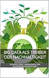 Big Data als Treiber der Nachhaltigkeit: Scientific Essay - Management von Informationstechnolog