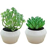 XuanMax 2pcs Künstliche Sukkulenten mit Keramik Töpfen Dekorativ Künstliche Pflanzen mit Topf Mini Künstlicher Bonsai Kunstpflanze Fälschung Topfpflanze Künstlich Grünes für Wohnzimmer Balkon Büro - 1