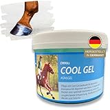 EMMA Kühlgel Pferd I Arnika Pferde-Salbe I Pferde Gel + Kräuterextrakte Kühlung I Kühlsalbe Gel I Sehnen Bänder Muskulatur I Pferdebalsam kühlend I Cooling Gel extra stark Pferde Pony Tiere 500