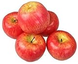Deko Kunstobst Kunstgemüse künstliches Obst Gemüse Dekoration Apfel (rot, 5 Stück leichten Qualität)