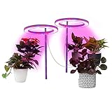 Pflanzenlicht Für Zimmerpflanzen, Vollspektrum 20/40LEDs Grow Lampe Mit Auto ON & Off Timer 8H-12H-16H, 2 Köpfe Grow Light Mit Rot & Blau, DC+AC Adapter Für Setzlinge Und Sukk