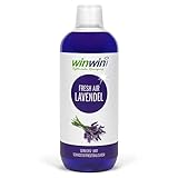 winwin clean Systemische Reinigung - Fresh AIR LUFTREINIGUNGSKONZENTRAT Lavendel 1000ML I AUCH BESTENS GEEIGNET FÜR DEN Einsatz IM proWIN AIR Bow