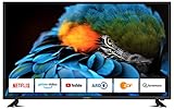 DYON D800169 Smart 43 XT 108 cm (43 Zoll) Fernseher (Full-HD Smart TV, HD Triple Tuner (DVB-C/-S2/-T2), Prime Video, Netflix, YouTube & HbbTV, WLAN, Hotel Modus), Schw