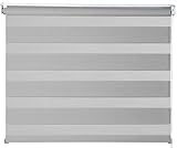 Nicht Zutreffend Doppelrollo Seitenzugrollo Sichtschutz | Grau | 60x160 cm | Poly