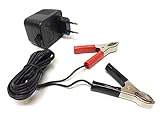 Batterie Ladegerät für 12V 0,5A Roller Motorrad Mofa Moped Mokick Batterieladegerät für Aprilia, Peugeot, Suzuki, Honda, Y