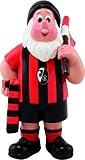 SC Freiburg Gartenzwerg, Zwerg Fan 2.0