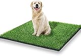 STARROAD-TIM Kunstrasen Teppich Rasen für Hunde Indoor Outdoor Kunstgras für Hunde Töpfchen Trainingsbereich Patio Rasen Dekoration (31.4x39.3inches)