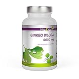 Ginkgo Biloba 6000mg - 365 Kapseln - Hochdosiert - Mit Flavonglykoside + Terpenlactone - Ginkgolsäure unter 1ppm - Jahrespackung - Ginko Extrakt - Premium Q