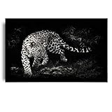 Wandkunst Wildlife White America Leopard Poster und Drucke Schwarz Weiß Leinwand Bilder Wohnzimmer Wohnkultur Gemälde 60X80cm Kein R