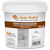 ANTICONDENSATION TECPINT von Tecno Prodist (750 ml) Wasserbasierte Anti-Kondensations- und Antischimmelfarbe für Innen und Außen - Wände und Decken - großartige Abdeckung - einfache Anwendung - WEISS