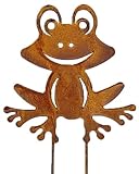 Bornhöft Gartenstecker Frosch Beetstecker Topfstecker Metall Rost Gartendeko Edelrost rostige Dekoration 20