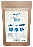 Collagen Pulver 1kg - Kollagen Hydrolysat Peptide - Eiweiß-Pulver Geschmacksneutral - Wehle Sports - Made in Germany Kollagen Typ 1 2 3 Lift Drink