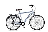 28 Zoll Herren Trekking City Fahrrad Citybike Cityrad Trekkingfahrrad Trekkingrad Herrenfahrrad Cityfahrrad Herrenrad Rad Bike Beleuchtung STVO ALTEC 7 Shimano Gang TRAVEL Matt GRAU R. 50