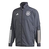 adidas Herren Jacke DFB PRE JKT, Onix, L, FI0739