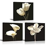 Piy Painting Bilder Leinwandbild Fotoleinwand Weiße Tulpenblume Kunstdrucke auf Leinwand Elegante Calla Lily Blumen Malerei Home Deko für Wohnzimmer Schlafzimmer Flur Wand Weihnachten 30x30cm 3