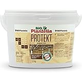 Bio Plantella Protekt Weißanstrich 1,5 kg | biologischer Schutz gegen Frost, Baumschädlinge, Pilzkrankheiten, etc. | Kalkanstrich für B