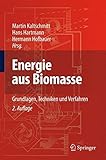 Energie aus Biomasse: Grundlagen, Techniken und V