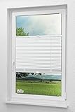 LYSEL Alujalousie 20mm verspannt (B x H) 80cm * 130cm in weiß, frei verschiebb