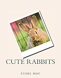 Cute Rabbits (English Edition)