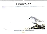 Limikolen - Watvögel an Nord- und Ostseeküste (Wandkalender 2022 DIN A3 quer) [Calendar] Martin, Christof [Calendar] Martin, Christof [Calendar] Martin, C