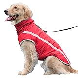 Modische Weiche Polyester-Fleece-haustiersicherheitskleidung Warmer Herbst- Und Wintermantel Welpen Hoodie T-Shirt Kleidung Welpen Kleiner Hund Kleine Hundekleidung