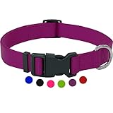 Amazon Brand - Umi - Hundehalsband Nylon, verstellbar | viele Farben & Größen | für kleine & große Hund Katze Welpe | Hunde-Halsbänder | Katzen-Halsband Welpen-Halsband | Lila, S