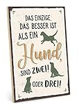 TypeStoff Holzschild mit Spruch – MEHR Hunde – im Vintage-Look mit Zitat als Geschenk und Dekoration zum Thema Haustier und Hundenarr (19,5 x 28,2 cm)