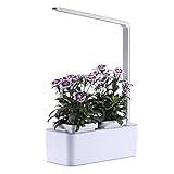 Hydroponik Gartenbeleuchtung, Intelligente Indoor Garten Kit mit Schreibtischlampenfunktion, LED Pflanzenlicht, Mini Indoor Garten System für Kräutersalat Gemüseb