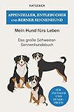 Appenzeller, Entlebucher und Berner Sennenhund: Das große Schweizer Sennenhunde B