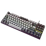 fasloyu Bunte LED Hintergrundbeleuchtung Rainbow Metal Mechanische Gaming Tastatur, Mechanische Game Player Tastatur mit 87 Tasten, USB Gaming Tastatur mit blauem Schalter für PC Spiele (D)