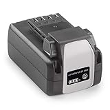 Alpina Akku BT 2040 Li (40 Volt 2 Ah, Lithium-Ionen-Akku, Passend für ALPINA 40 Volt System), grey