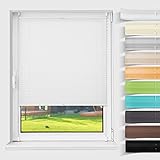 Magiea Plissee Klemmfix ohne Bohren, Jalousie Plisseerollo mit Klemmträger, (Weiß 80x100), Sichtschutz Sonnenschutz, Easyfix Klemmrollo Raffrollo, Faltrollo Rollos für Fenster & Tü