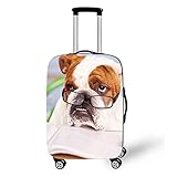 Elastisch Kofferhülle, DOTBUY 3D Reise Kofferschutzhülle Gepäck Cover Reisekoffer Hülle Schutz Bezug Schutzhülle Waschbare Reisetasche Kofferbezug (Brille Hund,L (26-28 Zoll))