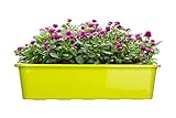 BigDean Blumenkasten 3er Set für den Balkon - 60 cm - Balkonkasten für Blumen - Made in Europe - Pflanzkasten Lime aus Kunststoff - Blumenk