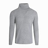 Segindy Herren Pullover Slim Warm Rollkragen Pullover Langarm Bequem Lässig Allgleiches Pullover Pullover Herbst Winter M