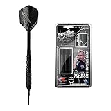 Target Darts Phil Taylor Power Sturmschwarz 18G Messing Softdarts-Set Dartp