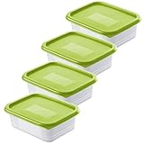 Rotho Domino 4er Set Gefrierdosen 0.5l mit Deckel, Kunststoff (PP) BPA-frei, grün/transparent, 4 x 0,5l (15,7 x 11,8 x 10,5 cm)