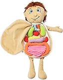 Pädagogisches Puppenmodell Anatomie, 3D Puzzle Abnehmbares Orgelspielzeug, Lehrwerkzeug Pädagogisches Spielzeug Weiches Puppenspielzeug Für Die Früherziehung Für Jungen Und M